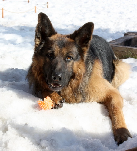Беф - Строганов ... и грибная подливка
