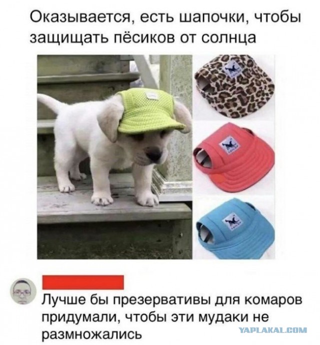Картинки с надписями и всякие жизненные фразы 10.07.21