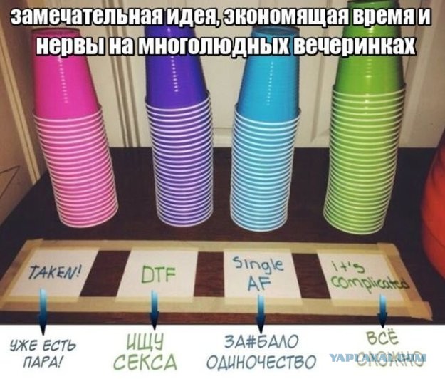 Весёлый полтишок 26.11