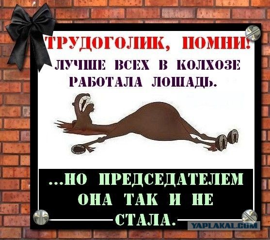 Опрос: Почти половина россиян выступила за сокращение новогодних каникул