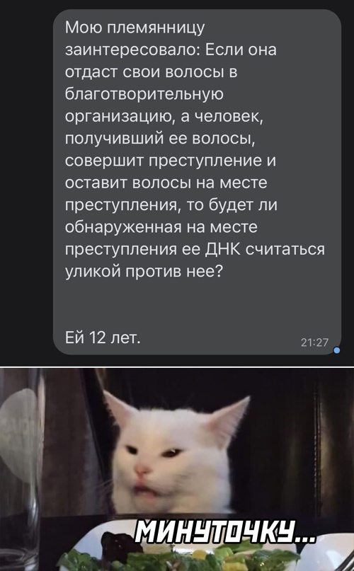 Весёлый полтишок 11.04.22