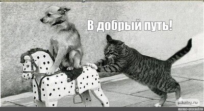 Ксения Собчак снова заявила, что «Вечерний Ургант» закрывается