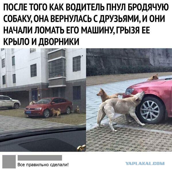 Скриншоты и комментарии из социальных сетей 16.06.22