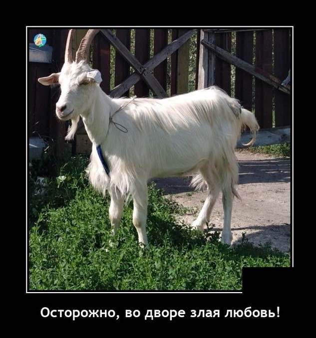 Картинки с надписями 17.06.22