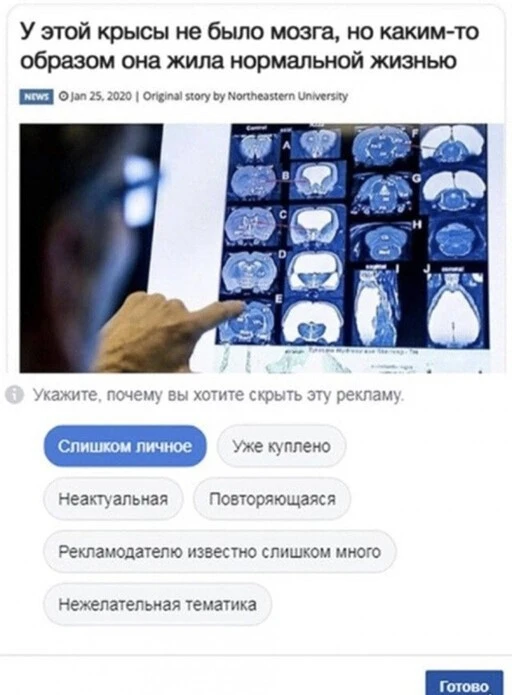 Баянисто-небаянистый юмор 1.08.22