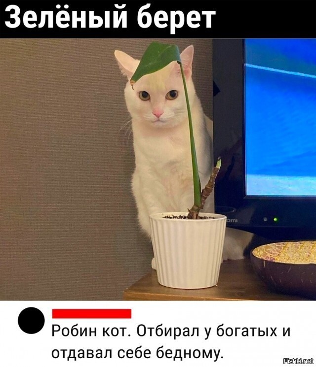 Так себе картинки 07.08.22