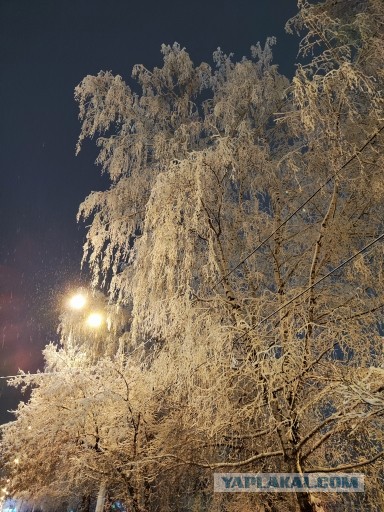 Каспер\Сиськи
