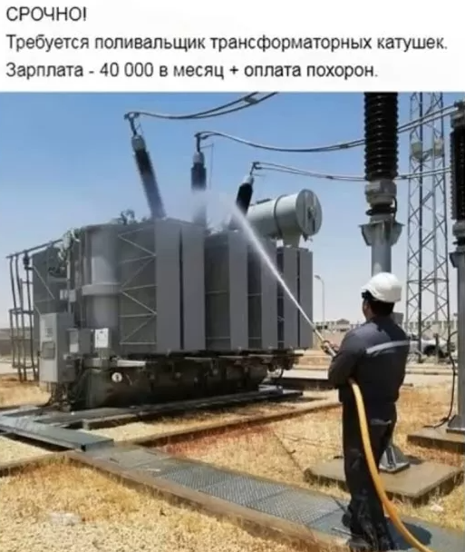 К Наде набежали женихи