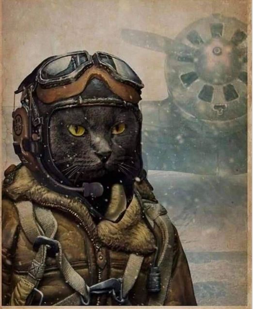 Пешком до Луны
