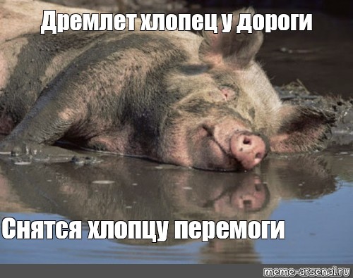 Международный уголовный суд в Гааге выдал ордер на арест Владимира Путина и Львовой-Беловой