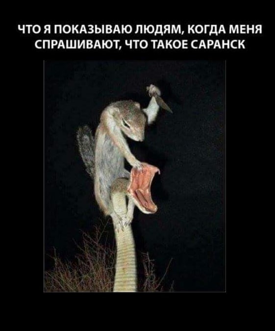 Подборка картинок 04.05.2023