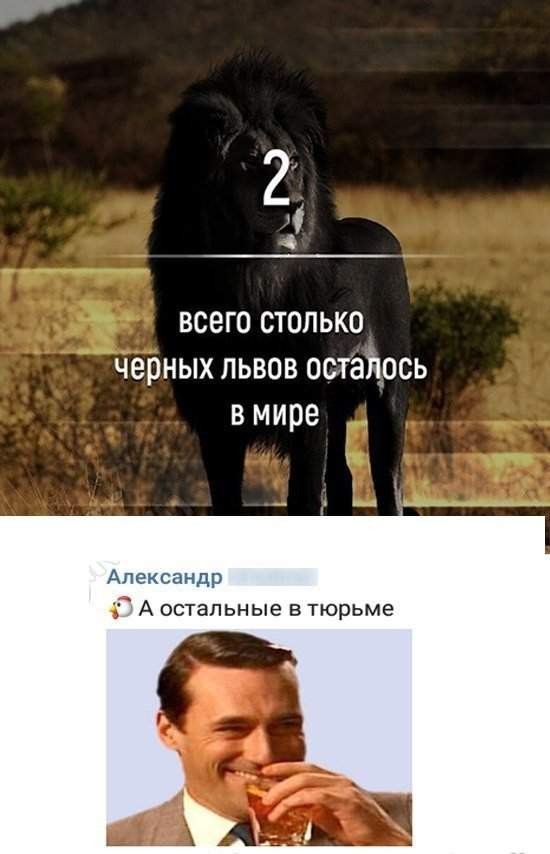 Скриншоты и комментарии из социальных сетей 07.07.23