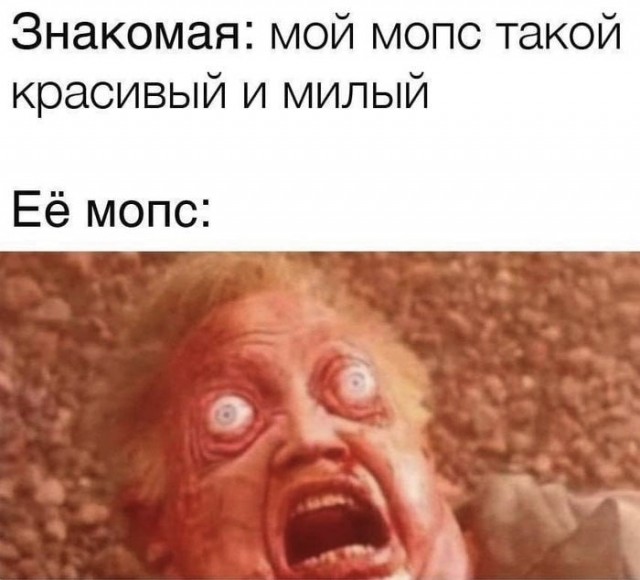 Юморески в JPG