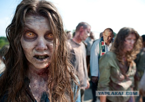 Грозненский фанат ФК "Терек"