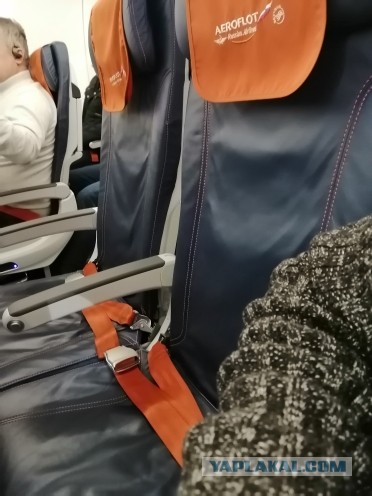 В Росреестре начали проверку после громкого скандала с Оксаной Штейн