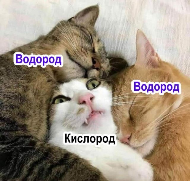 Веселые картинки во Всемирный день энергоэффективности (05.03)