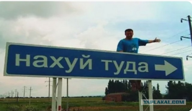 Друзья! Послушайте мою песню! (Пашкетт)