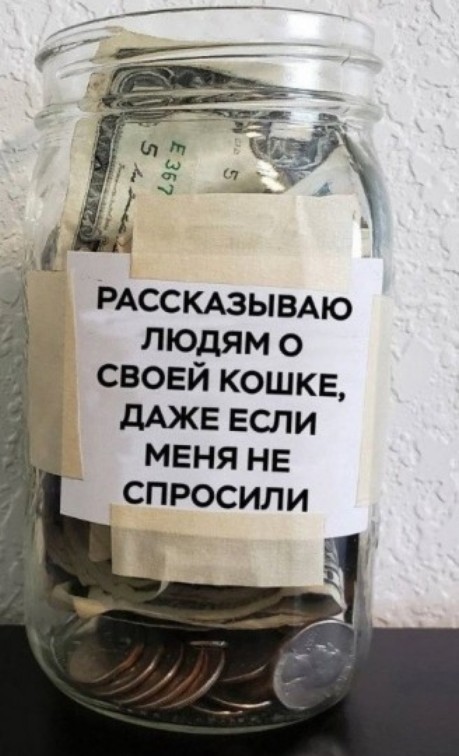 Так себе картинки 17.06.25