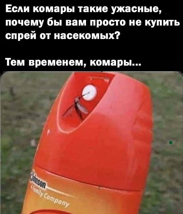 Немного картинок 31.07.25