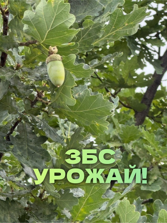 Постите летние фотки