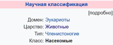 Стрекозы поедают комаров, которые вылетают из канализационного люка