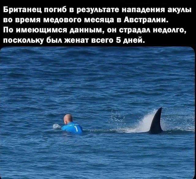 Картинки для деградации 52 (разной степени свежести)