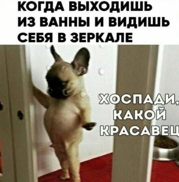 Зумеры всё чаще страдает эректильной дисфункцией и низким либидо — всё дело в порно и сидячем образе жизни