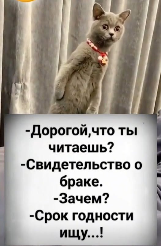 Картинки для деградации 72 (разной степени свежести)