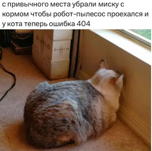 Котямбосы