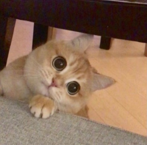 Девушке отказали в собеседовании