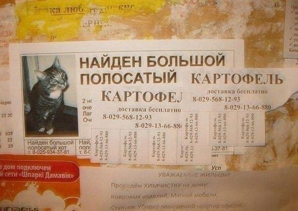 Четверговые картинки