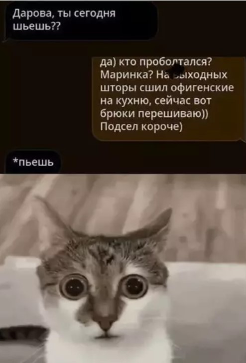 Картинки для деградации 231 (разной степени свежести)