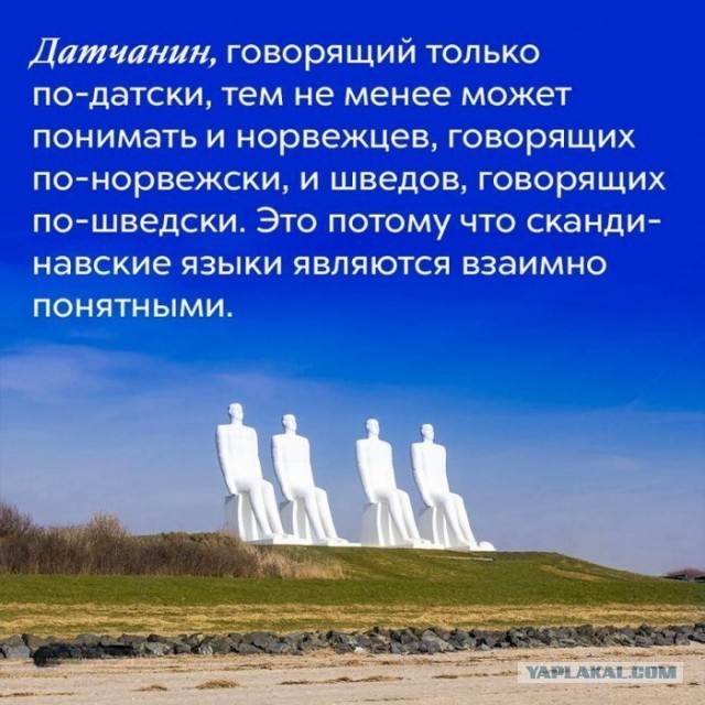 Интересные и короткие факты, на все случаи жизни