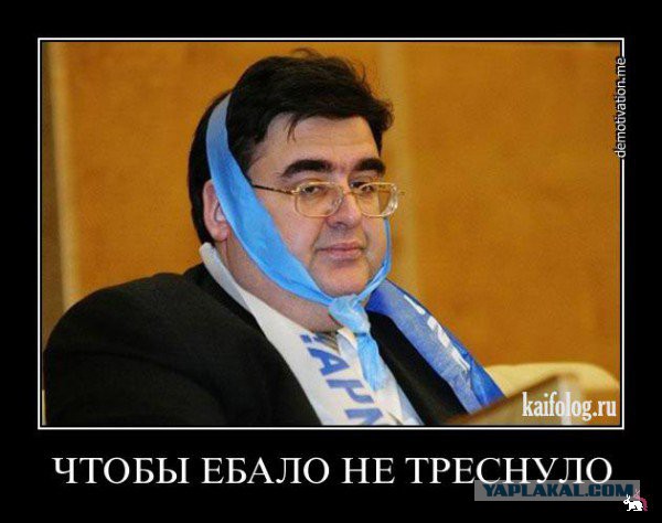 Митрофанова просят лишить неприкосновенности