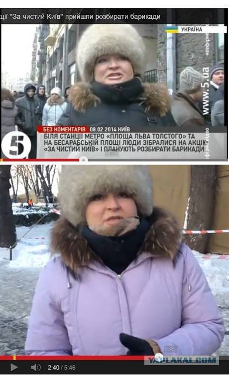 "Георгиевские " ленточки против флагов УПА