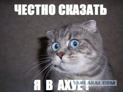 Сколько я зарабатываю в Испании на фуре