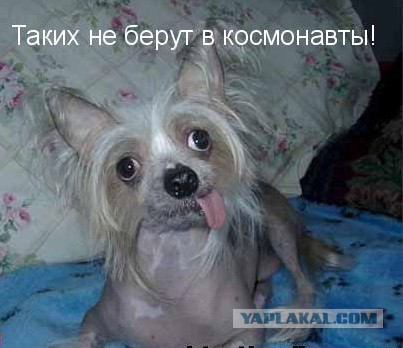 Капля позитива