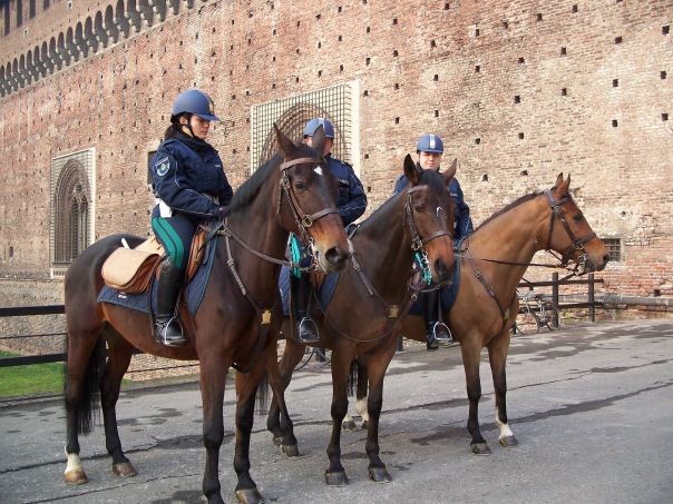 Полиция в разных странах
