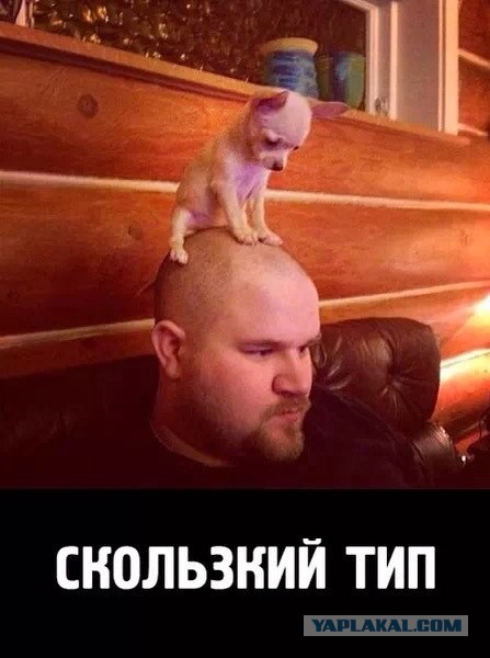 Комментарии из социальных сетей
