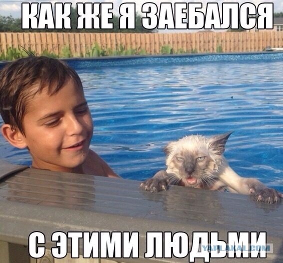 Улыбнуло