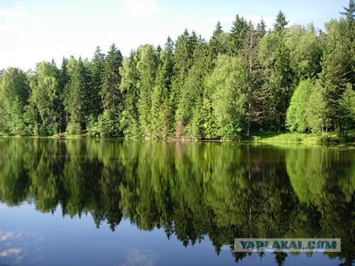 Как мы отдыхали на речке. 3575067. Как мы отдыхали на речке фото. Как мы отдыхали на речке-3575067. картинка Как мы отдыхали на речке. картинка 3575067