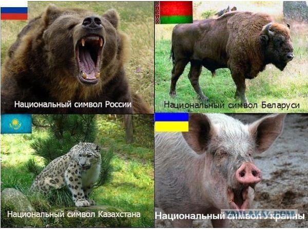 Кризис в Украине глазами карикатуристов