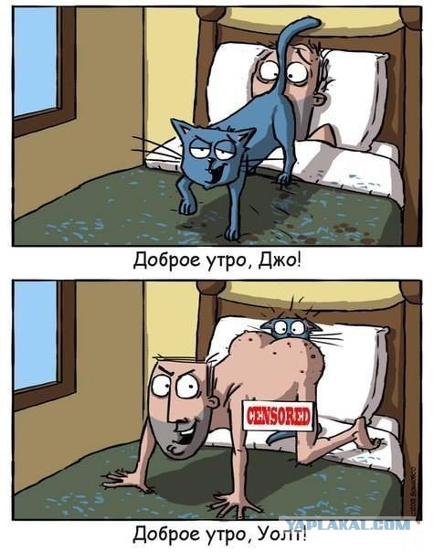 Поднимаем настроение