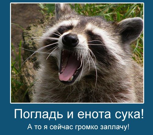 Пятница, картинки для поднятия настроения