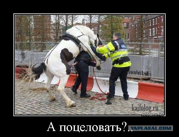 Картинки для настроения