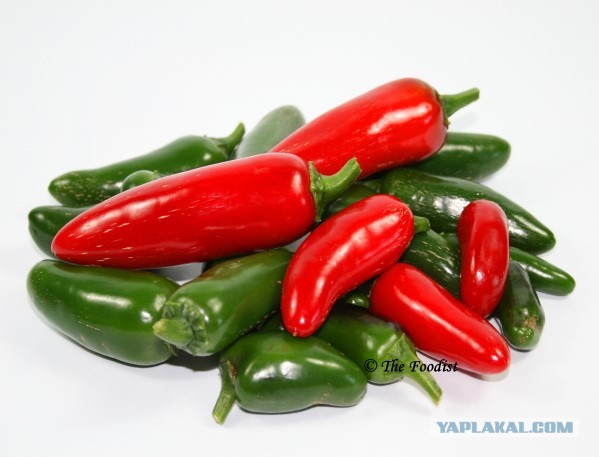 Кулинарная общалка