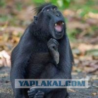 Лейла, что ты делаешь Лейла!