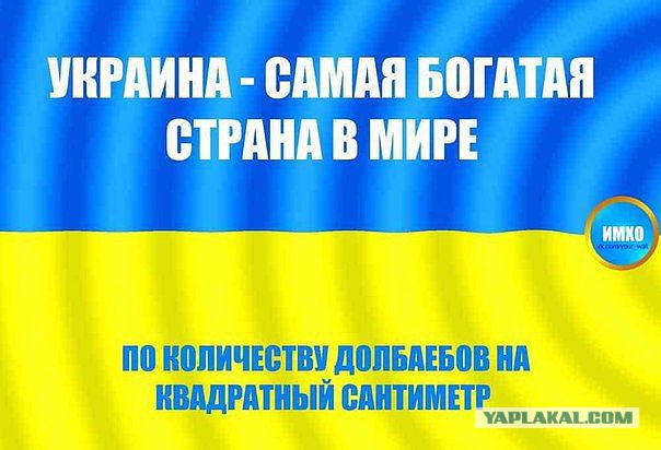 9 лет тюрьмы за 1,7 миллиарда рублей из-за сбоя