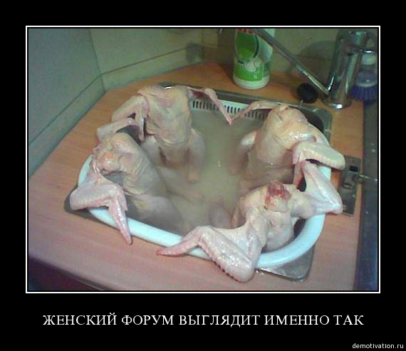 Что-то с кошкой