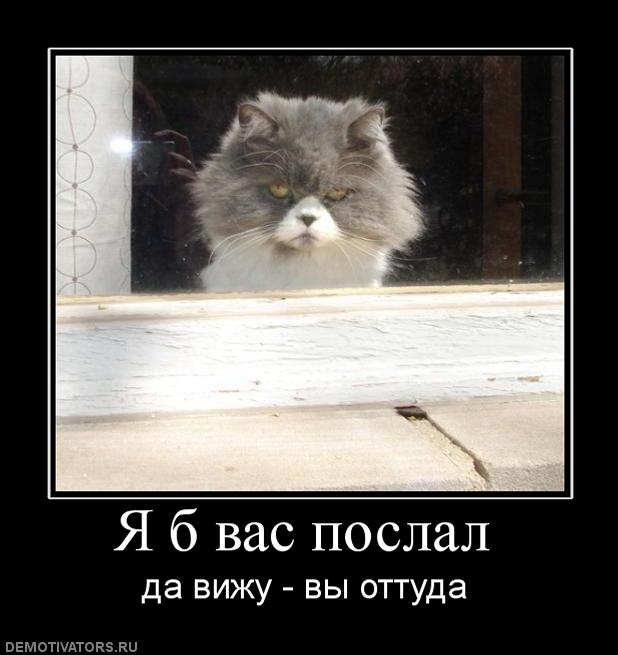 Демотиваторы вторника